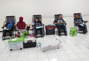 Kegiatan Donor Darah Kerja Sama PT. BPR Cinde Wilis dengan PMI Jember